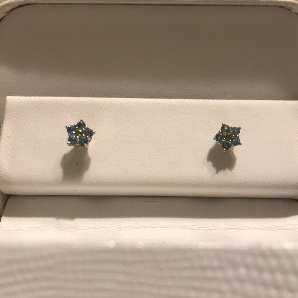 Jewels by Joanne blue and silver studs NWOT
